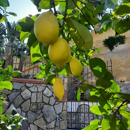Holiday home Menzel El Emir Misilmeri