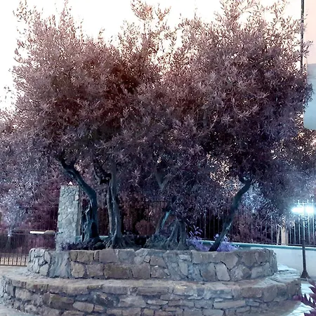 Menzel El Emir