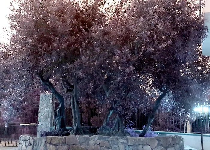 Menzel El Emir